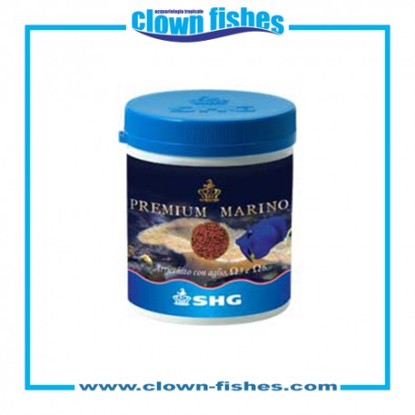 Shg Premium Marino 50 gr